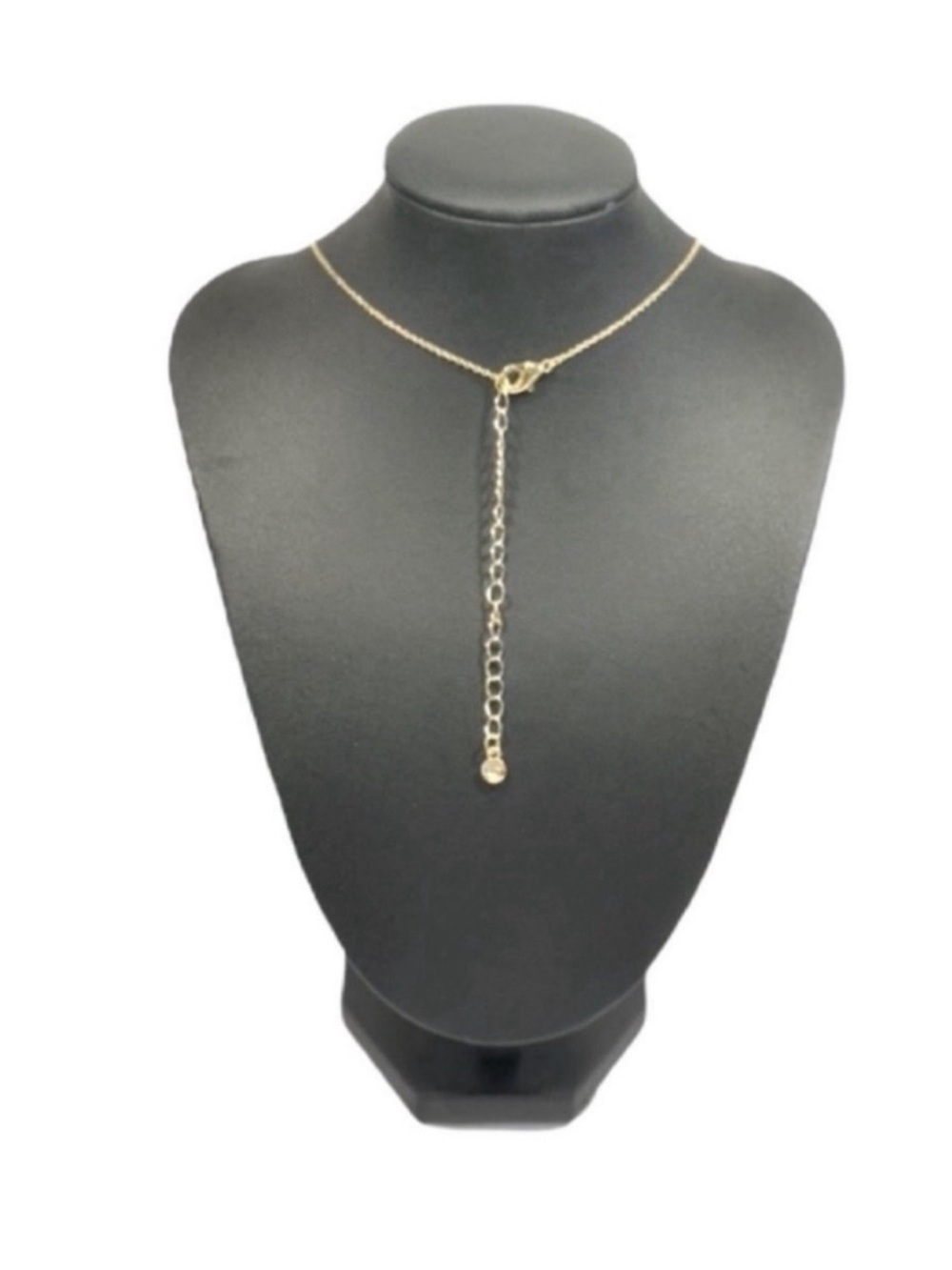 Charm Necklace - Picture 5 of 5